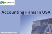 Accounting Firms In USA