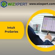 Intuit ProSeries Professional Tax Preparation Software